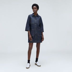 Everlane Denim Chore Dress